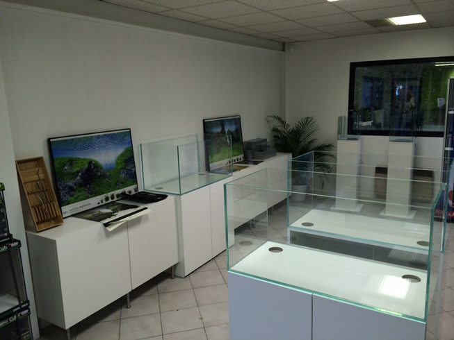 le showroom aquaplante, présentation de nos aquariums plantés