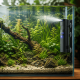 SunSun CUP-807 installe dans un aquarium plante