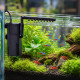 Filtre interne SunSun HJ-111B fixe sur la vitre d'un aquarium