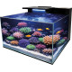 BLUE MARINE Reef Coral Garden 55 - Aquarium eau de mer équipé
