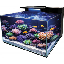 BLUE MARINE Reef Coral Garden 55 - Aquarium eau de mer équipé