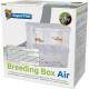 SUPERFISH BREEDING BOX AIR  - Bac d'élevage