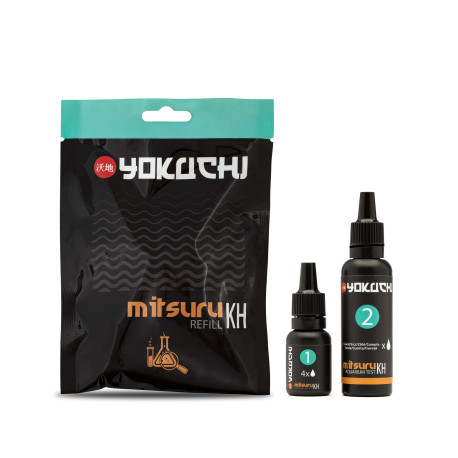YOKUCHI MITSURU Recharge test KH - Recharge test d'eau
