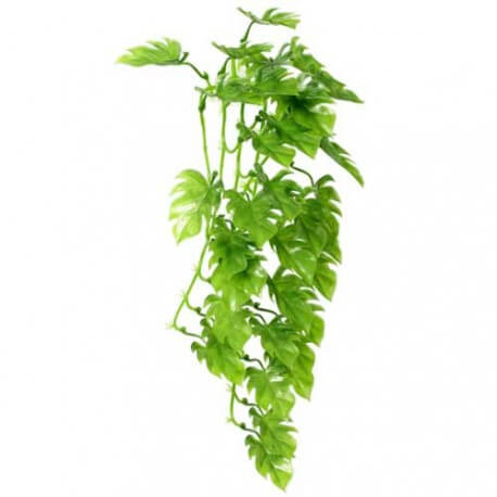 Climber Philo, pendant