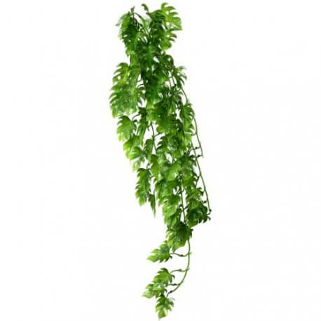 Climber Philo, pendant