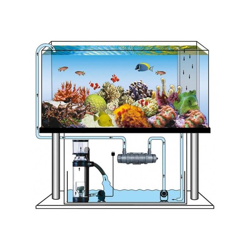Подготовка воды для аквариума
