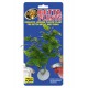 ZOOMED Betta Plant Philo