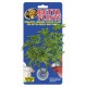 Betta Plant Philo