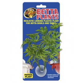Betta Plant Philo