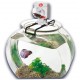 BettaMatic Disributeur Automatique