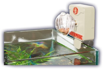 Distributeur automatique nourriture poisson