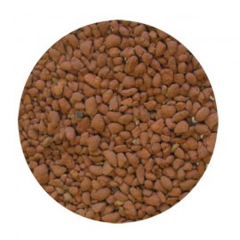 Ground