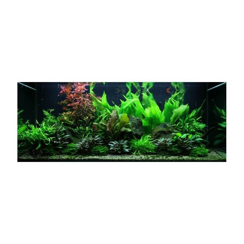 160 meilleures idées sur Déco aquarium