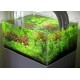 PAYSAGE AQUATIQUE N°85 TROPICA