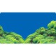 Poster 30X60 Spring / Moss