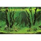 Poster 30X60 Spring / Moss