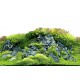 Poster 30X60 Scaper's Hill / Scaper's Forest