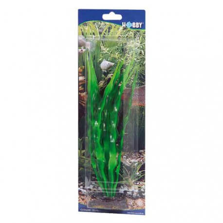 Plante artificielle Cyperus 16cm