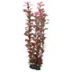 Plante artificielle Cyperus 16cm