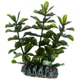Plante artificielle Bacopa 7cm