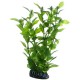 Plante artificielle Hygrophila 20cm
