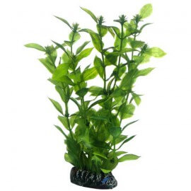 Plante artificielle Cyperus 16cm