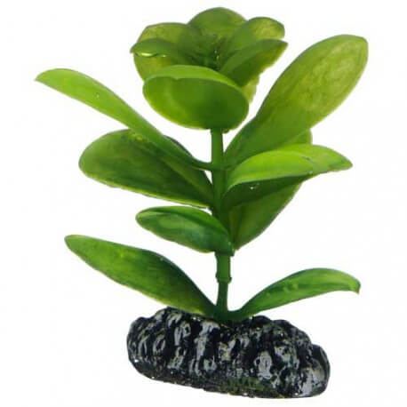 Plante artificielle Saururus 7cm