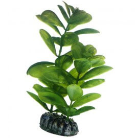 Plante artificielle Cyperus 16cm