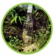 Aspirateur / Changement d'eau Hobby