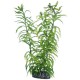 Plante artificielle Cyperus 16cm