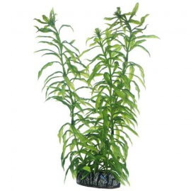 Plante artificielle Heteranthera 25cm