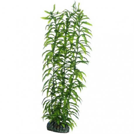 Plante artificielle Heteranthera 34cm