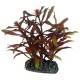 Plante artificielle Nesaea 7cm