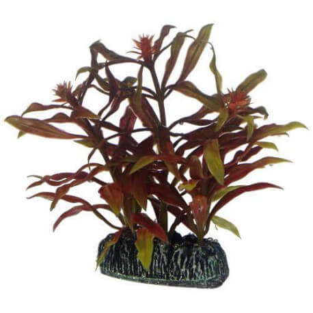 Plante artificielle Nesaea 7cm