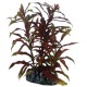 Plante artificielle Cyperus 16cm