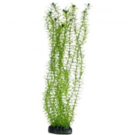 Plante artificielle Cyperus 16cm