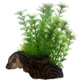 Hobby Flora Root S 1