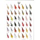 Poster poissons tropicaux N°1