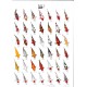 Poster poissons tropicaux N°1