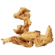Aqua d'ella Coffee Root 1