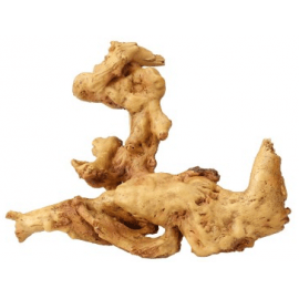 Aqua d'ella Coffee Root 1