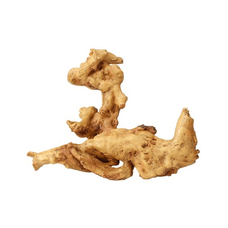 Aqua d'ella Coffee Root 1