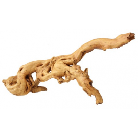 Aqua d'ella Coffee Root 5