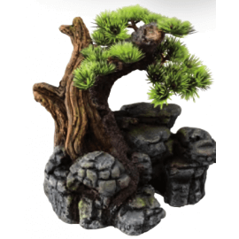 Aqua D'ella Bonsai SM