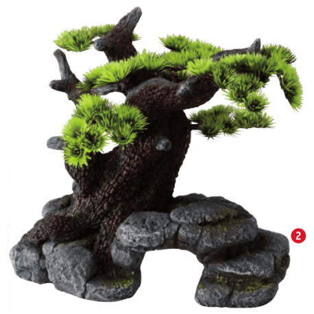 Aqua D'ella Bonsai ML