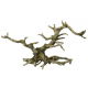 Aqua d'ella Bonsai Brown 1