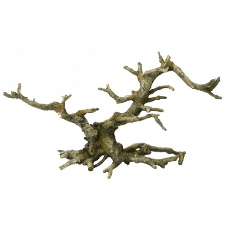 Aqua d'ella Bonsai Brown 1