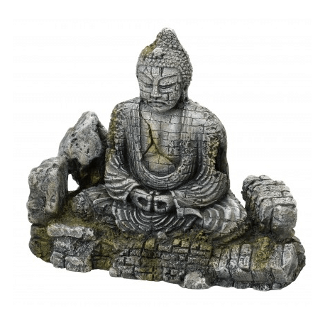 Buddha L