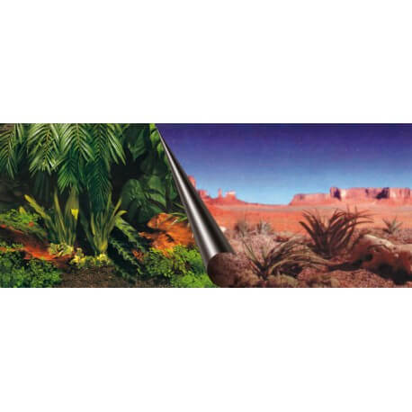 Poster Jungle + Desert