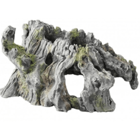Aqua d'ella Bonsai Brown 1